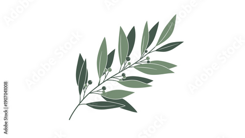 Elegant olive branch illustration features various shades of green leaves and small berries, creating a timeless symbol of peace and natural beauty.