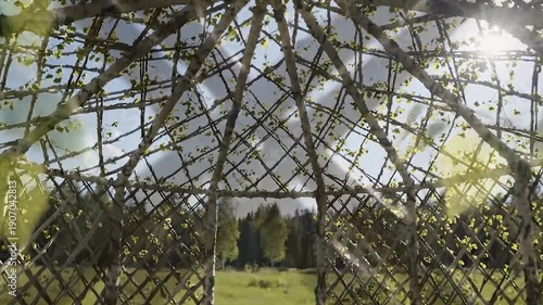 Intricate Birch Branch Dome Structure in a Sunlit Green Meadow