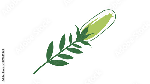 Simple illustration of a green flower bud or seed pod on a leafy stem showcases a clean and modern botanical aesthetic in natural green color tones.
