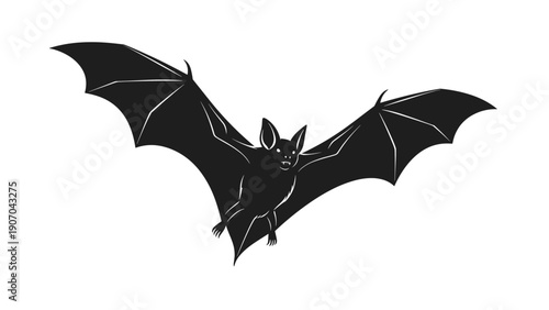Dynamic black and white silhouette of a flying bat displays outstretched wings and sharp features against a clean white background for contrast.