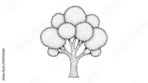 Detailed black and white tree illustration showcases a thick textured trunk and multiple rounded clusters of foliage in a classic style.