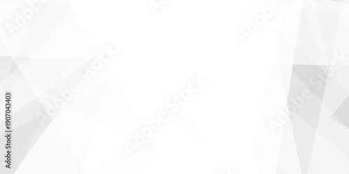 Abstract background with white and gray and geometric style with simple lines and corners, polygons as background geometric style with simple lines and corners, polygons as background paper texture