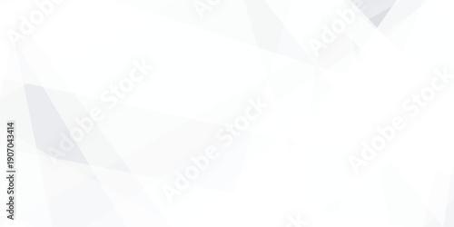 Abstract background with white and gray and geometric style with simple lines and corners, polygons as background geometric style with simple lines and corners, polygons as background paper texture