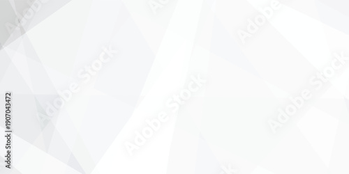 Abstract background with white and gray and geometric style with simple lines and corners design .