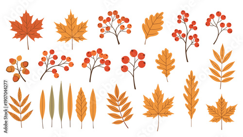 Comprehensive set of autumn elements includes maple leaves, oak leaves, acorns, and red berry clusters in traditional fall colors.
