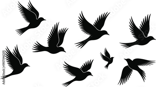 Flying bird silhouettes, black winged animals in different flight poses isolated on white background, freedom wildlife vector