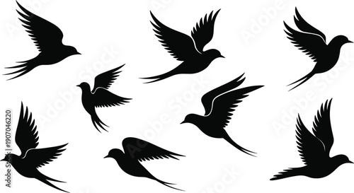 Flying bird silhouettes, black winged wildlife in graceful motion isolated on white background, freedom vector illustration set