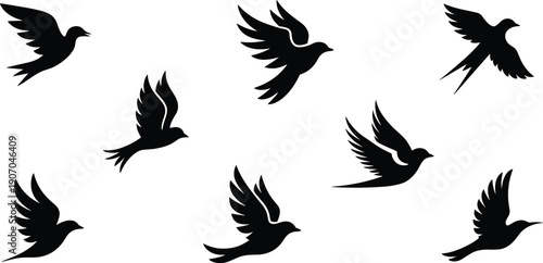 Flying bird silhouettes, black winged animals in different poses isolated on white background, freedom wildlife vector set