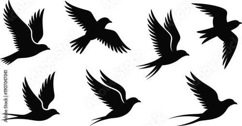 Flying bird silhouette collection, swallow and dove shapes, black winged animals, flat vector icons, isolated on white background