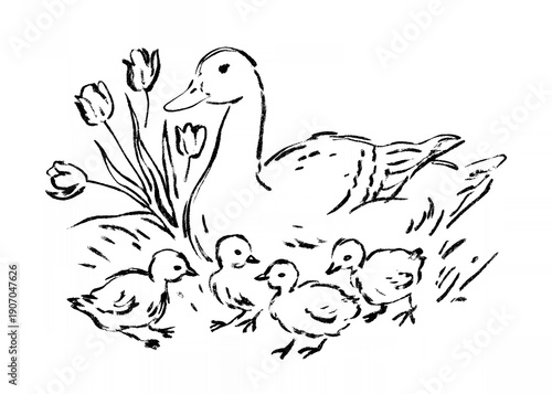 Cute silhouette of mother duck and four ducklings with tulips at the background