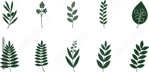 Minimal botanical leaf collection in flat green style, natural plant foliage icons for eco branding, organic design, packaging, and nature themed projects