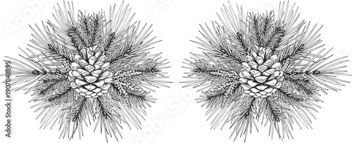 Pine Cone Botanical Illustration Pair Featuring Evergreen Needles, Forest Nature Elements, Detailed Hand Drawn Engraving Style, And Editable Vintage Vector Artwork