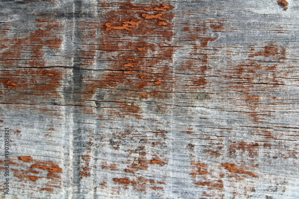 Obraz premium Weathered gray wood surface with peeling orange paint and rusty texture. Rustic vintage background with cracks and organic grain, ideal for industrial design.