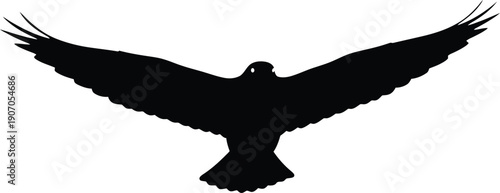 Bird in flight with outstretched wings captured from below in a simple graphic illustration