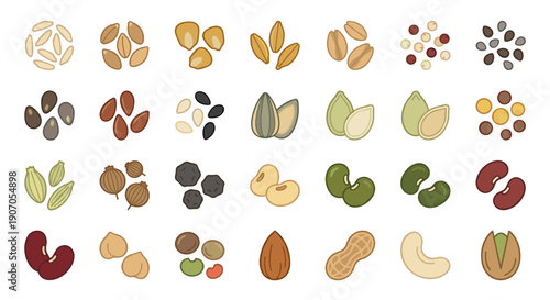 A variety of seeds and legumes arranged in a colorful, illustrative display.