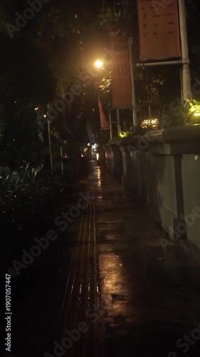 the atmosphere of the sidewalk at night after rain, with a wet road surface, reflections of streetlights, and trees along the pedestrian path