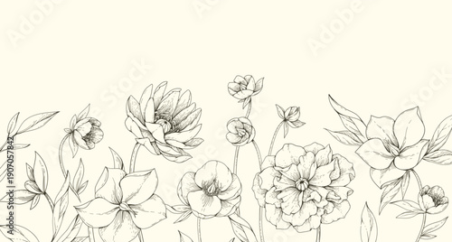 Hellebore background with flowers and leaves. Detailed hand drawn ink illustration of helleborus for invitation, wallpaper art or save the date