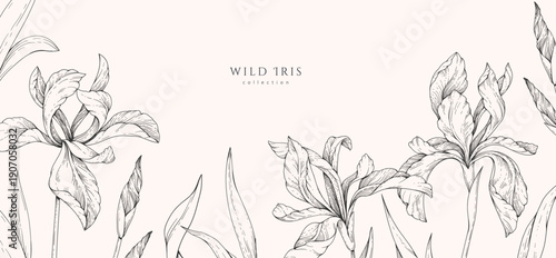 Wild irises blooming, background with flowers and brunch. Detailed botanic floral collection for Valentines day invitation, wallpaper art