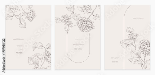 Set of card with blooming hydrangea flowers and brunch. Detailed template layout design, brochure or cover for Valentines day or wedding