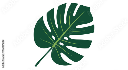 Large dark green monstera deliciosa leaf with characteristic holes and detailed veins on a clean white background art.