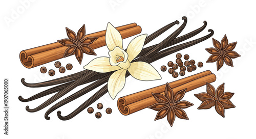 Richly detailed illustration of various aromatic spices including vanilla pods, cinnamon sticks, star anise, and black peppercorns.
