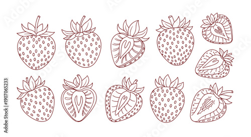 Collection of strawberry sketches and line drawings showing whole fruits, half slices, and cross sections in a detailed artistic style.