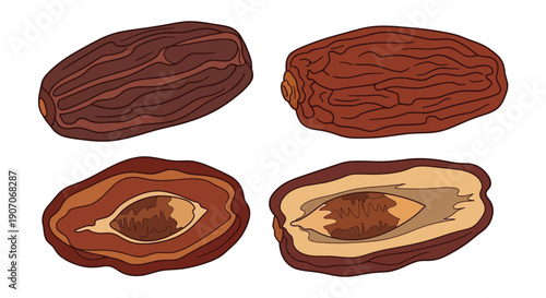 Illustration of four dates whole halved and with pits visible