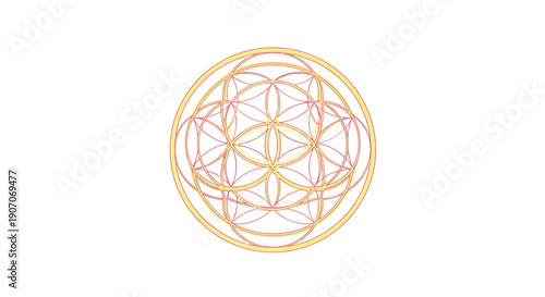 Geometric harmony and spiritual balance of the flower of life illustration