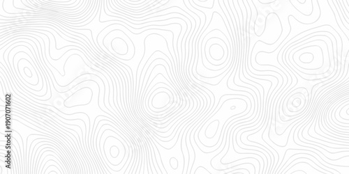 white and black paper spiral line location discovery topography map. vector topo map design White background world grid wave Topographic map geographic line texture.