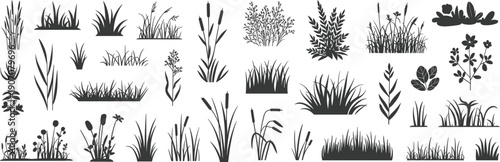 Large collection of grass and wild plant silhouettes isolated on white background, vector botanical set featuring reeds, flowers and foliage for nature themed design projects