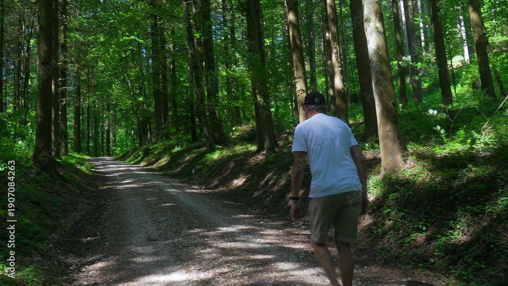 Obraz premium Senior man walking alone on wide forest trail surrounded by tall trees, peaceful afternoon moment of solitude and movement in natural woodland setting