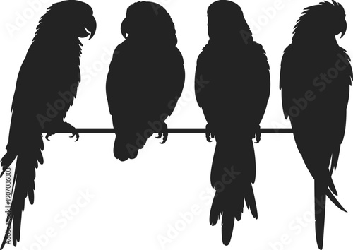 Black parrot silhouettes featuring four macaws perched on a branch including various tropical bird profiles for exotic wildlife branding nature conservation and jungle themes