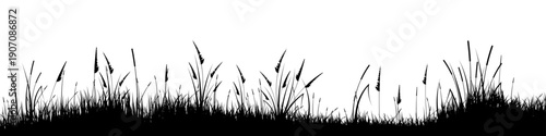 Meadow silhouette with grass, plants on plain. Panoramic summer lawn landscape with herbs, various weeds. Herbal border, frame element. Black horizontal banners. Vector illustration