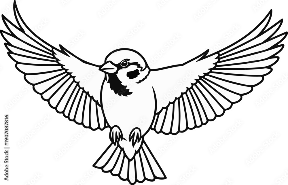 Obraz premium Stylized line art drawing of a small bird in mid-flight, wings spread wide