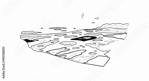 Stylized illustration of birds flying over an icy seascape with broken ice floes