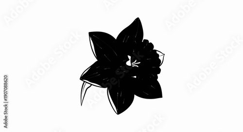 Stylized black and white illustration of a single dark flower