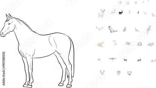 Simple line drawing of a horse standing