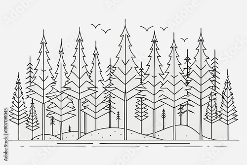 Serene forest landscape with tall trees and flying birds