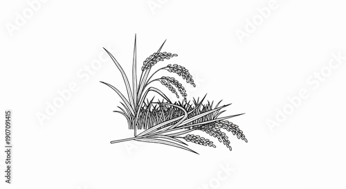 Stylized line drawing of ripe rice stalks and grass against a white background