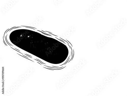 Stylized depiction of a single, large bacterium with a dark interior