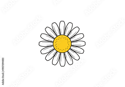 Close up of a single white daisy flower with yellow center and white petals against a clean white background in simple stylization for decorative