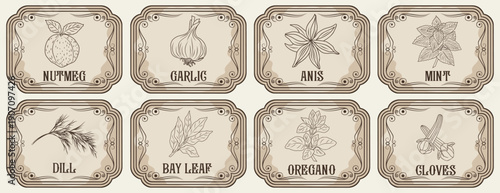 Set of flat vector illustrations of vintage-style spice labels with hand-drawn herbs and spices including garlic, mint, oregano, cloves, nutmeg, dill, anise, and bay leaf on natural beige backgrounds