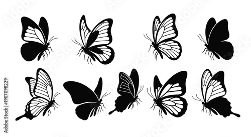 Set of various butterfly silhouettes and detailed line art drawings in flight isolated on white background for nature themed art.