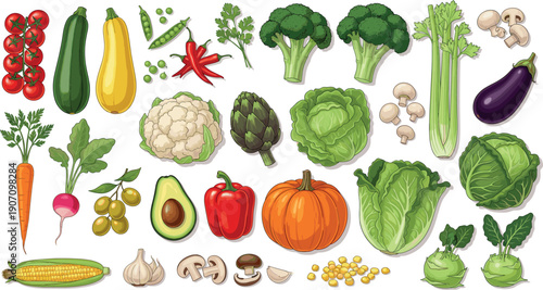 Large collection of fresh organic vegetables including pumpkin broccoli carrots tomatoes and corn isolated on a white background.