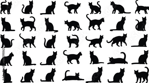 Black cat silhouettes in various poses on white background black cats cat poses feline