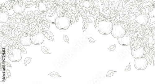 Detailed line art drawing of ripe apples hanging from tree branches with falling leaves in the center for autumn harvest or orchard themes.