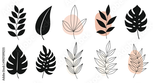 Modern botanical set featuring black leaf silhouettes and fine line drawings with soft peach accent spots for contemporary design projects.