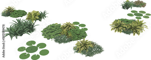 Isometric landscape plant clusters with shrubs grasses and groundcover elements isolated on white background for garden design illustration set