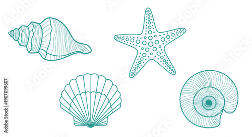 Collection of teal green marine life illustrations including sea shells a starfish and a nautilus for beach or nautical theme projects.