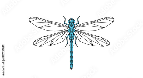 Geometric dragonfly illustration with intricate low poly style wings and body in blue shades isolated on a plain white background.